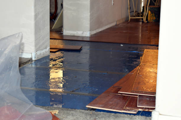 Professional Basement Flood Cleanup technician working in Lakeview, OR